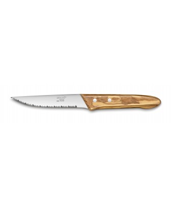 CANYON STEAK KNIFE-OLIVE WOOD