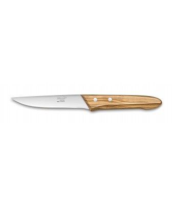 CANYON STEAK KNIFE-OLIVE WOOD